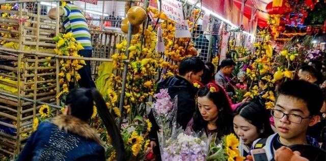 什么是“花城”的市花？为什么,花城有什么习俗