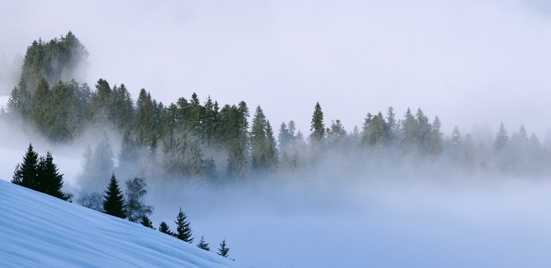 靖州与贵州哪里交界_冰雪奇缘靖州站怎么买票