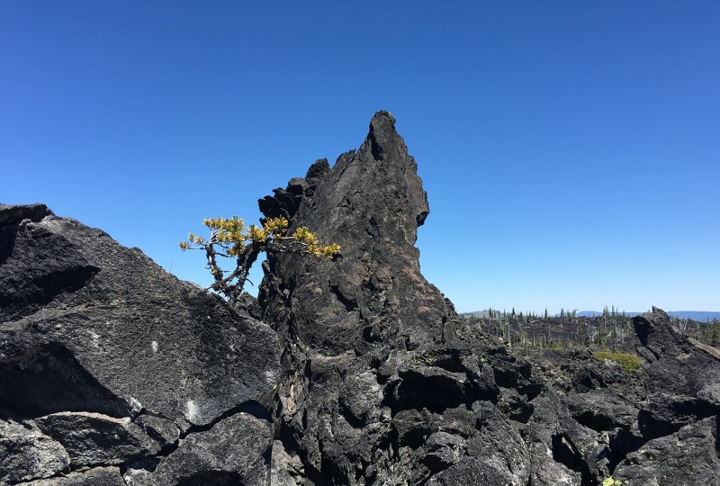 大觉山有什么特产,大觉山旅游