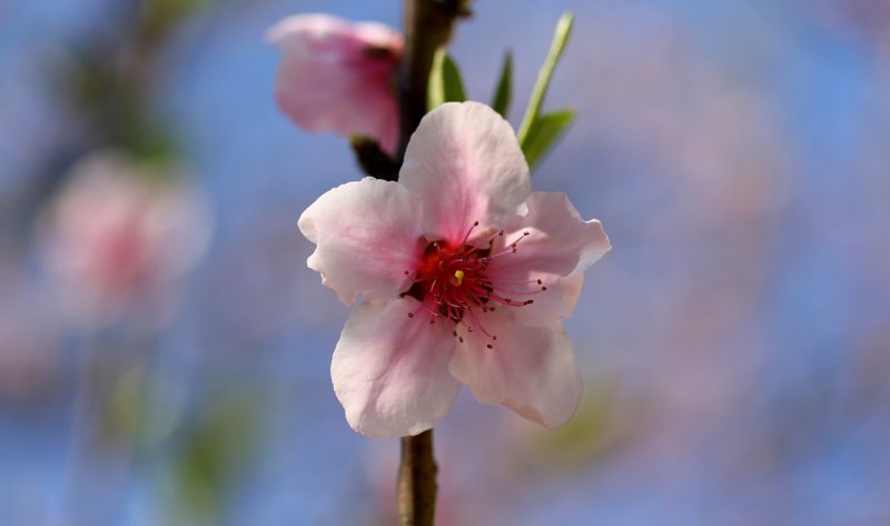 祝520快乐短语,520节日快乐祝福句子