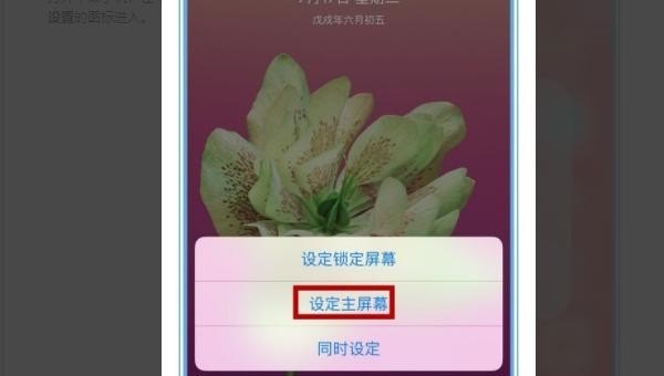 苹果手机出问题能换新机么需要什么手续,苹果手机怎么更换