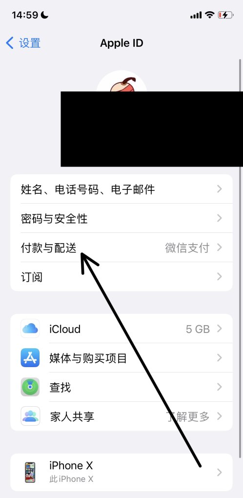 苹果怎么支付app_苹果手机支付方式怎么设置