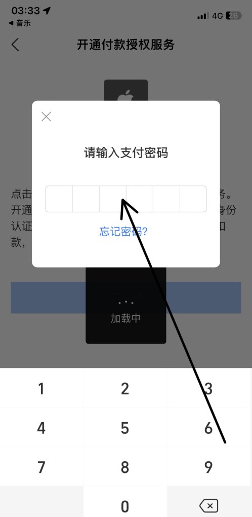 苹果怎么支付app_苹果手机支付方式怎么设置