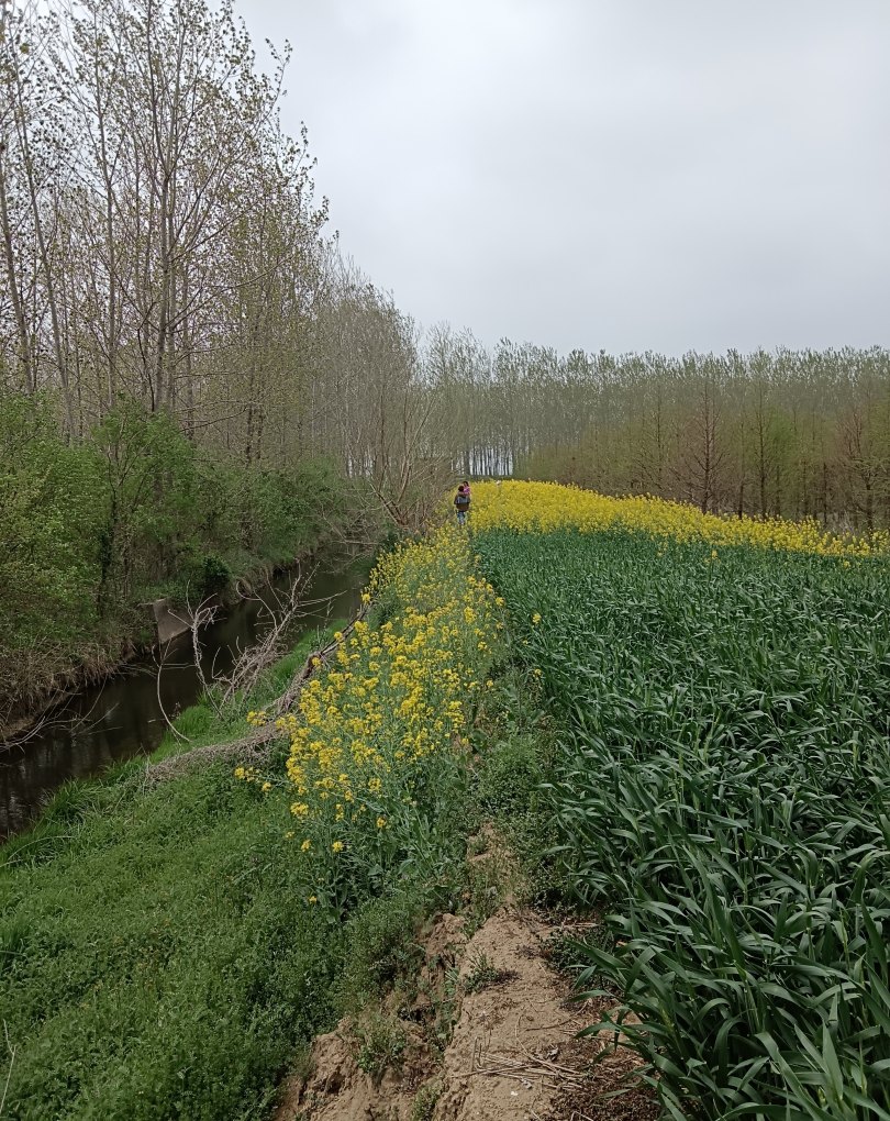 什么是禅让制 怎么打破的 怎样打破传统习俗