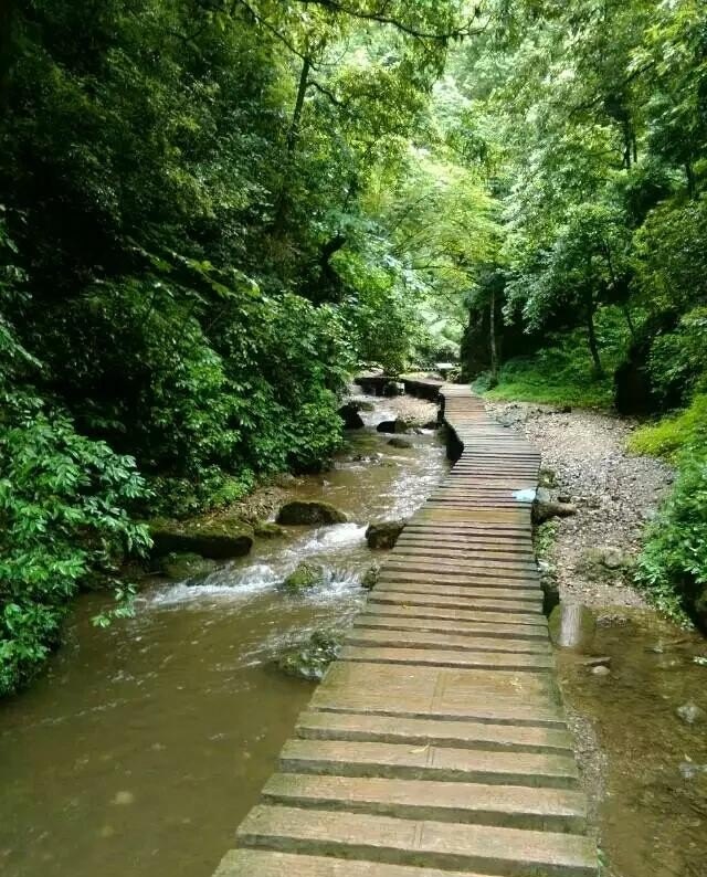 成都红光一区卖多少,郫都区红光美食推荐餐厅有哪些店铺