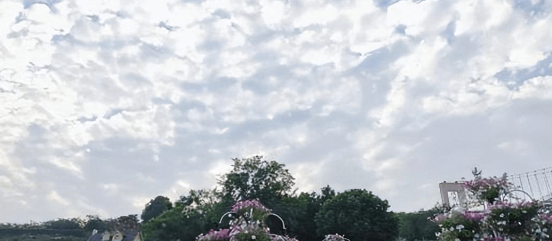 新都有什么好玩的地方？哪些景点必去,新都旅游景点