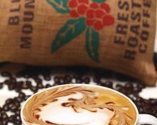 mannercoffee深圳有多少家店_奶茶总共有多少个品牌