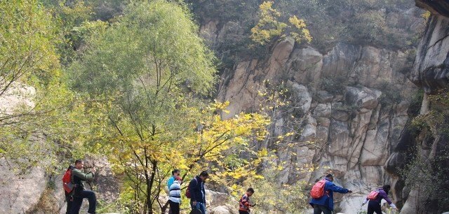 职业钓鱼人排名 武汉天元怎么加盟