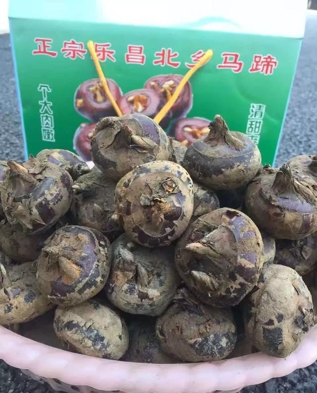 丹霞山属乐昌吗,乐昌市的红色历史文化 - 华夏历史