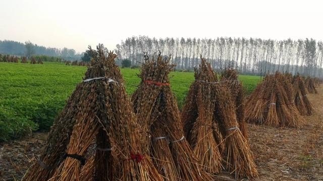 湖北武汉滴滴快车加盟有什么要求吗,湖北服装品牌加盟