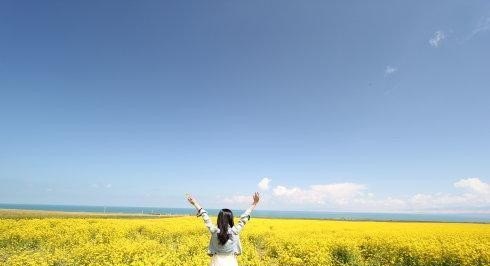 旅游是历史文化的载体对吗,旅游是历史文化的载体对吗 - 华夏历史