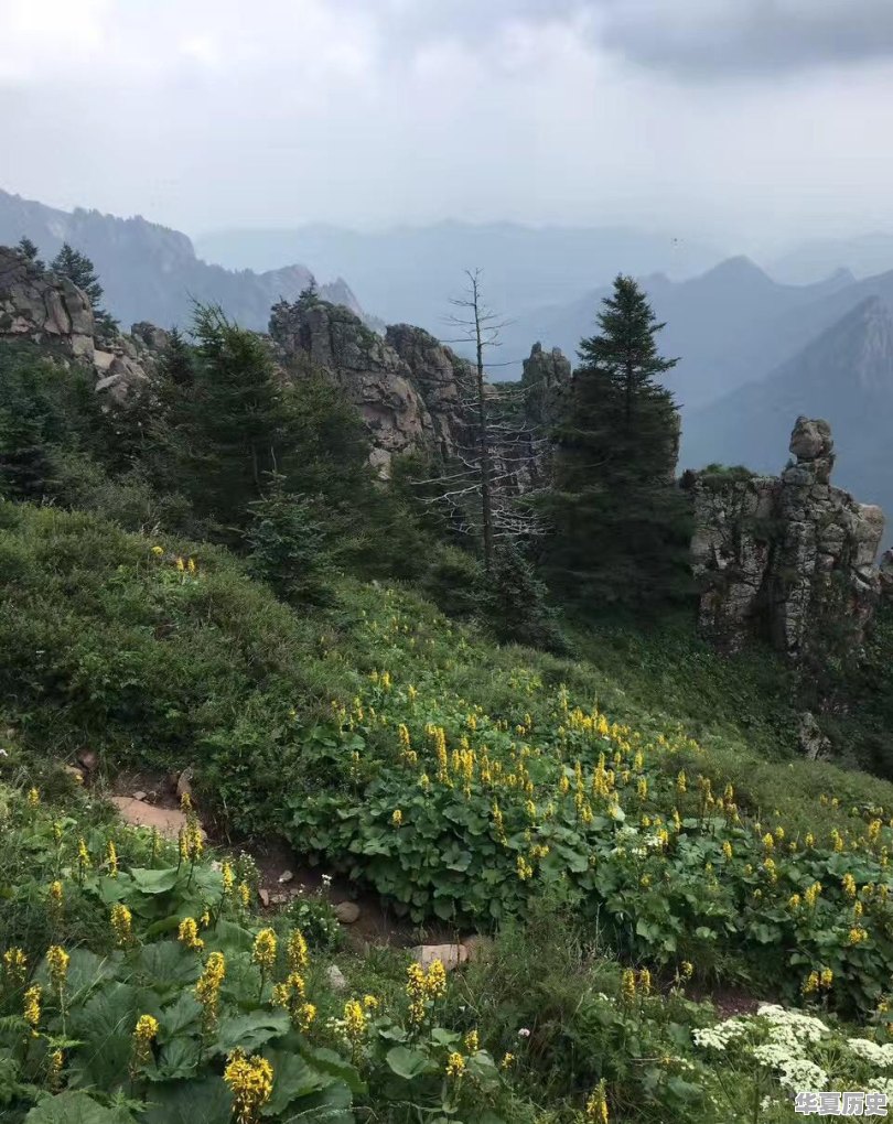 想去山西，有哪些有名的山可以去 - 华夏历史