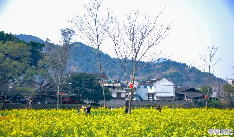 宁德有哪些历史文化名村 - 华夏历史