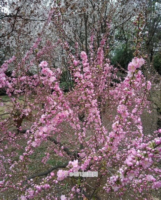 监狱里的饭菜怎么样