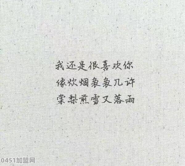 哪里能学做奶茶