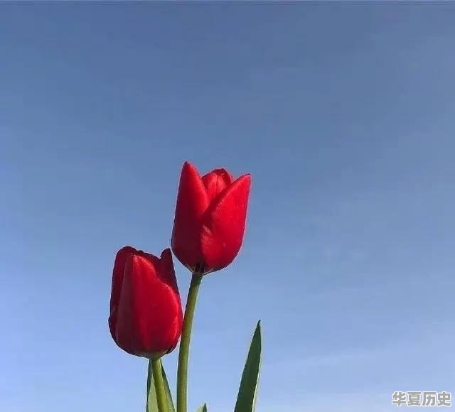 你怎样看待农村禁止过年上坟烧纸 - 华夏历史