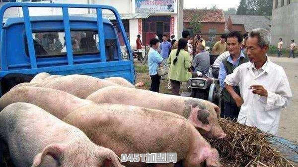 2019年过年在沈阳，有什么味道好的熟食店、卤肉店值得推荐