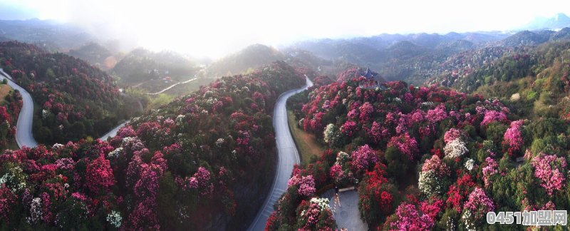 贵州省十大旅游区，你知道的有哪些