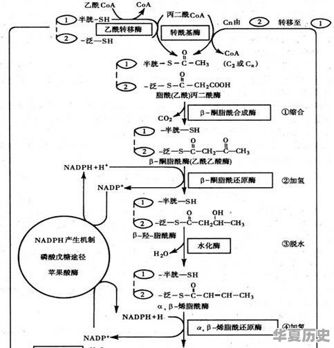 师范专业中汉语言文学专业和地理历史哪个就业前景更好 - 华夏历史