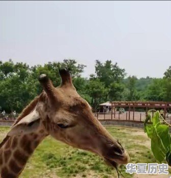 这个周末去济南，有没有一个比较好的旅游推荐，景点啦美食啦 - 华夏历史