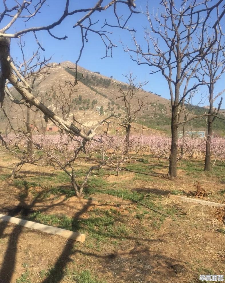 天气预报是怎么提前知道天气变化的 - 华夏历史