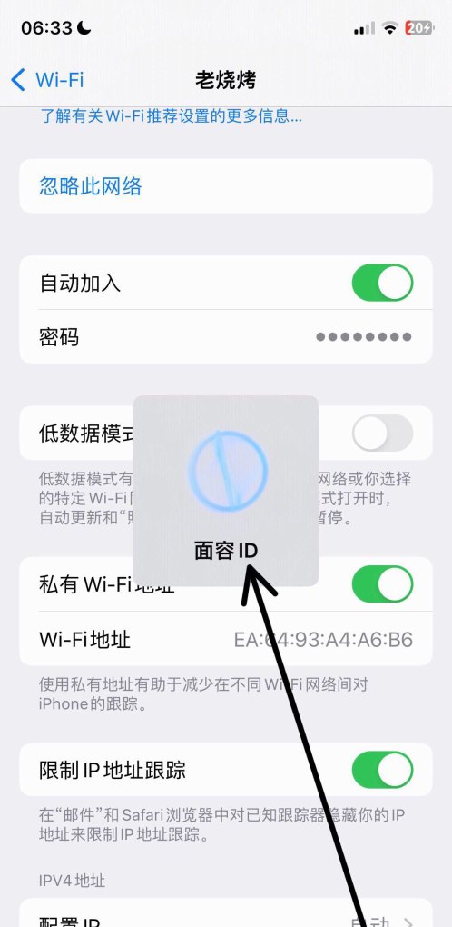 wifi密码能在手机上显示吗