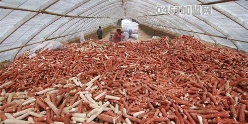 最近在农村里有收购"玉米芯"的商贩 据说一年能赚20多万 他们收来有什么用呢