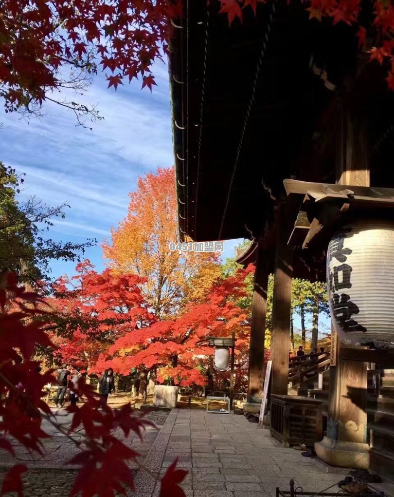 11月底去日本关西，奈良+京都+大阪，大概7天，行程该如何安排