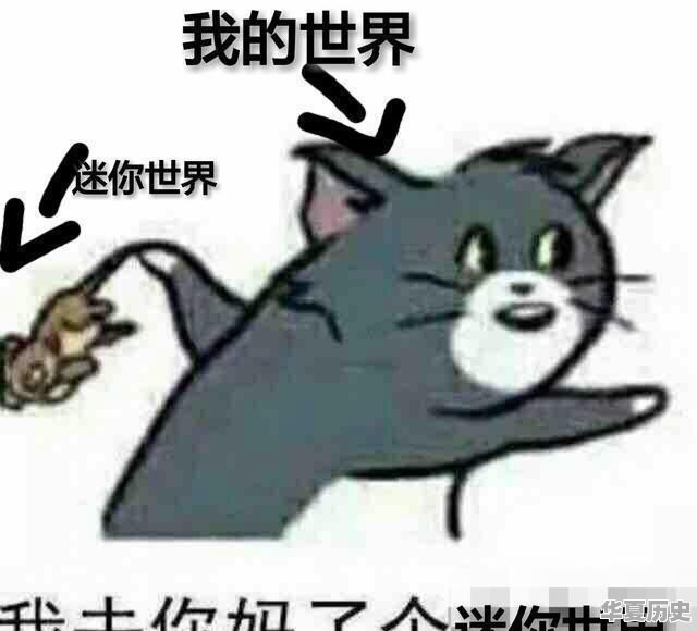 小学生说我的世界抄袭迷你世界，大家怎么看 - 华夏历史