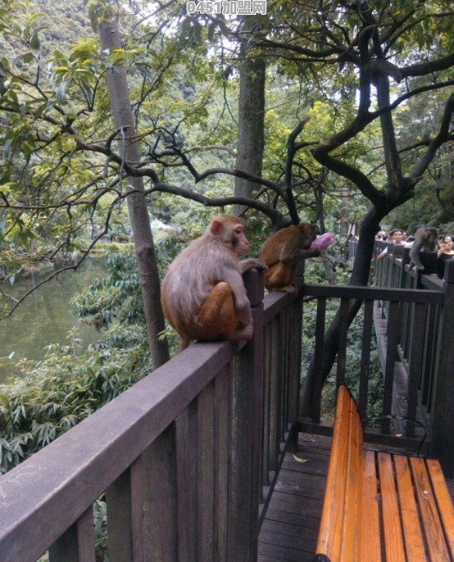 贵州旅游景点有哪些推荐