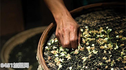 茉莉花茶能喝吗