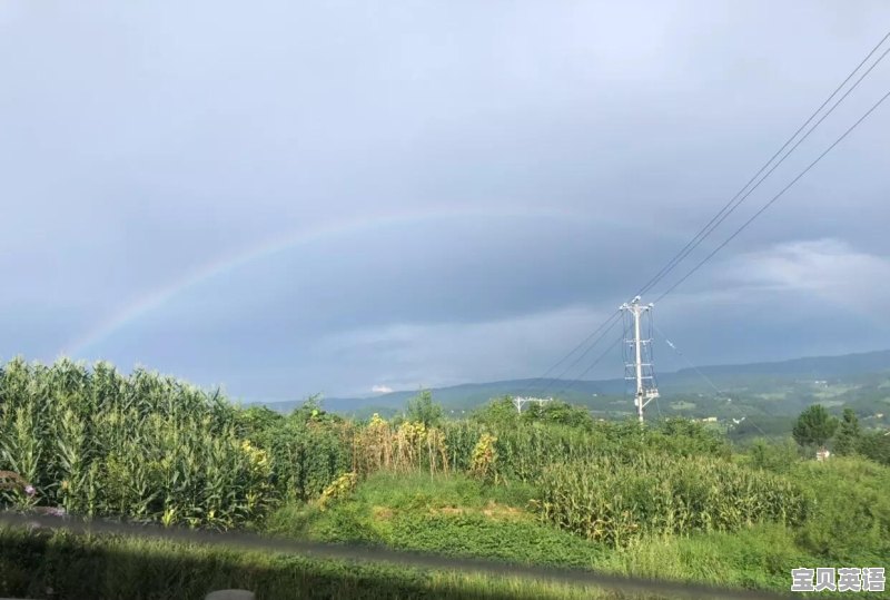 有什么方法能快速过英语四级的考试