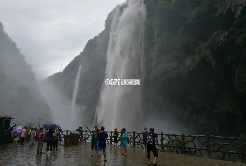 疫情防控解除了你会选择报团旅游吗