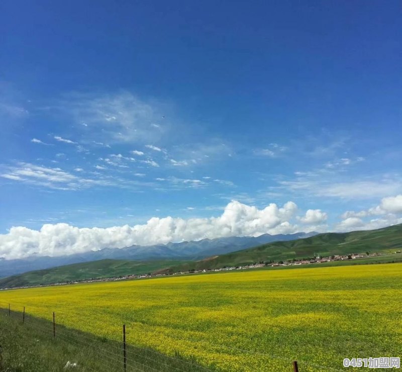 你今年有旅行计划吗，打算去哪里玩呢