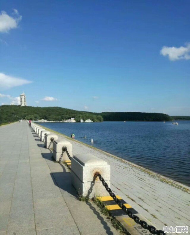 学习很差怎样提高分数