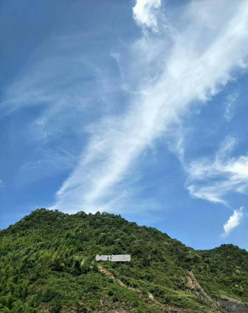 茂名特许加盟奶茶店哪家好一点