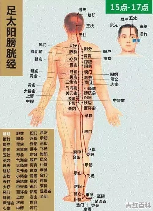 身体有淤堵 犯困该怎么调理