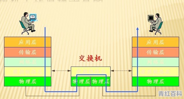 交换机到底是什么