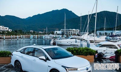 比亚迪新能源销量超燃油车 广汽新能源跌40% 2019年销售150万辆有谱吗