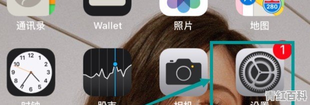 苹果手机怎么查看wifi密码