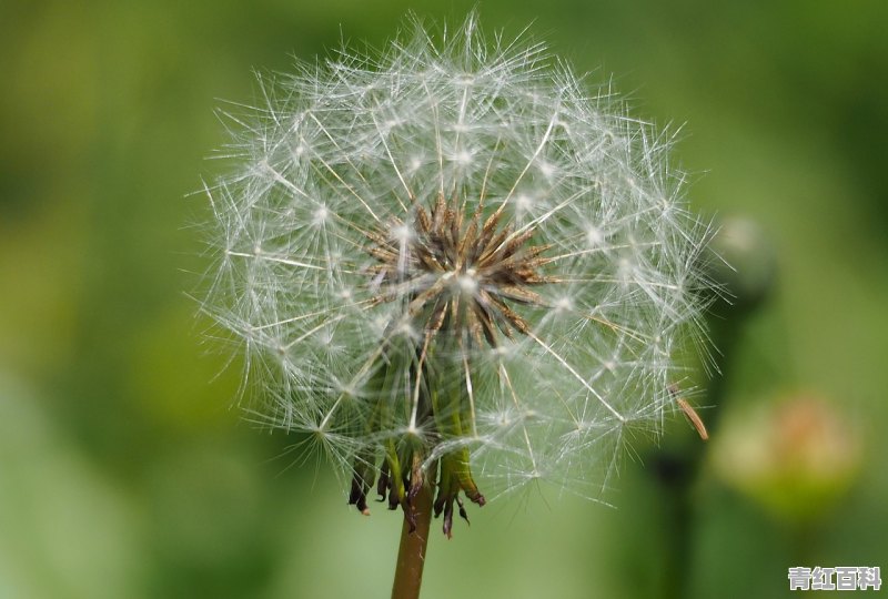 7月巴西汽车销量如何