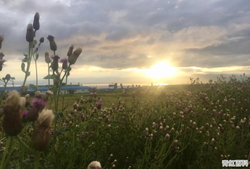 青海最佳旅游季节是几月份