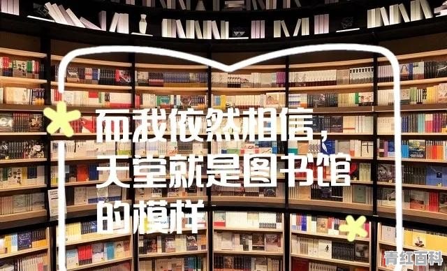 2021年十一月份的汽车销量排行榜