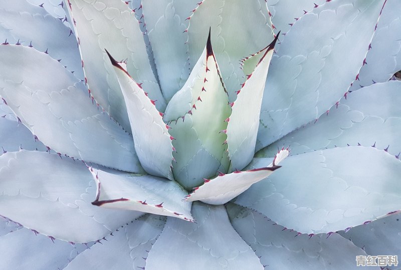 电脑屏亮度怎么调节快捷键