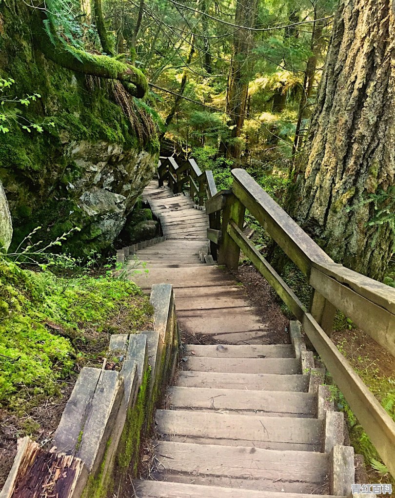 广元附近旅游景点一日游