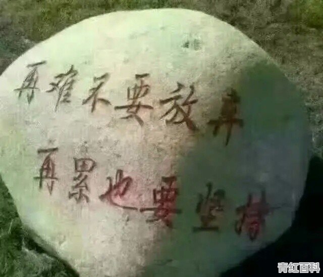 侄子读初二 成绩不好 又没有人教他学习 想买一部学习机 不知道哪位家长有好的介绍