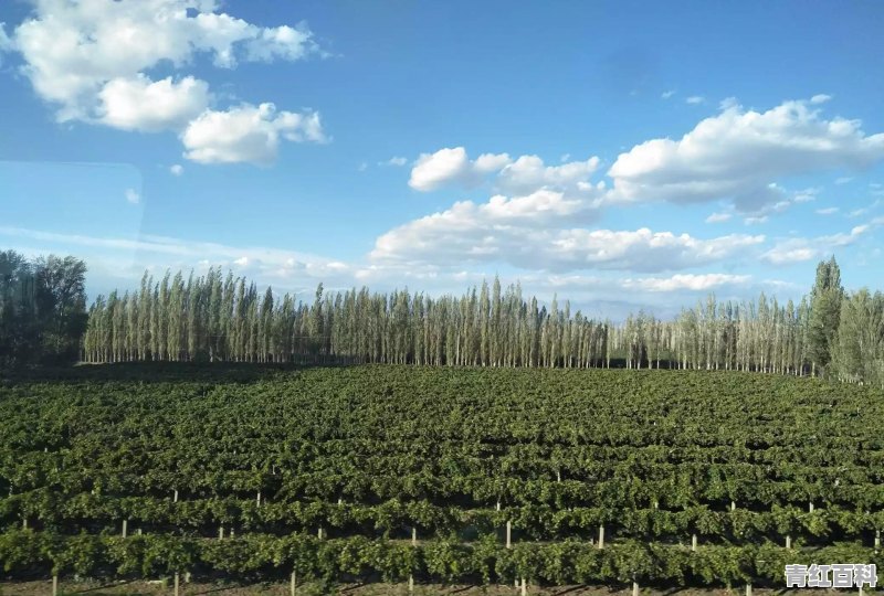 春夏秋冬，各有特色风景，请问各个季节适合哪个地方游玩