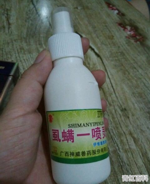 狗狗皮肤病怎么治?身上，后背上，一块一块，像长癣一样