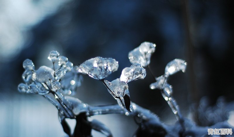 水晶苹果手机壁纸