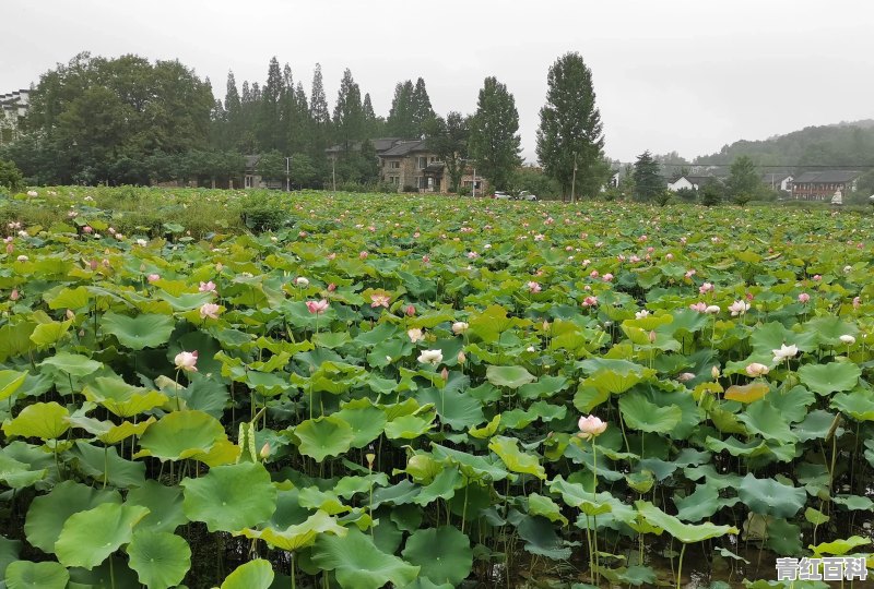 信阳市旅游攻略最新